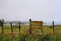 Real Estate Ad in Kawhia